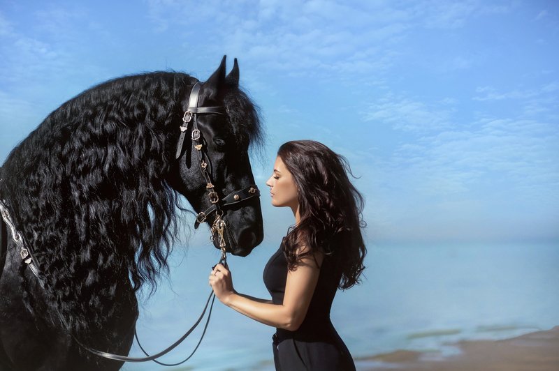 #фриз #конныйфотограф #фотосессияслошадьми #фотосессияслошадью #коннаяфотосессия #черныйконь #воронойконь #воронаялошадь #девушкаслошадью #девушкасконем #конь #horse #черный_конь #фото_с_лошадью #фотосессиясконем Любовь к коню фото превью