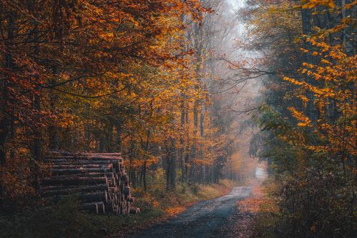 Spala Landscape Park