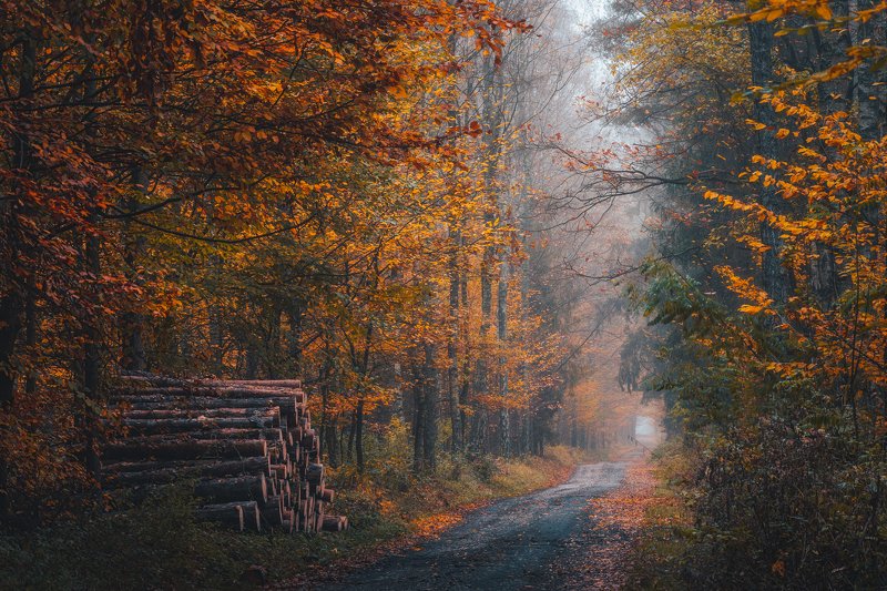 Spala Landscape Park