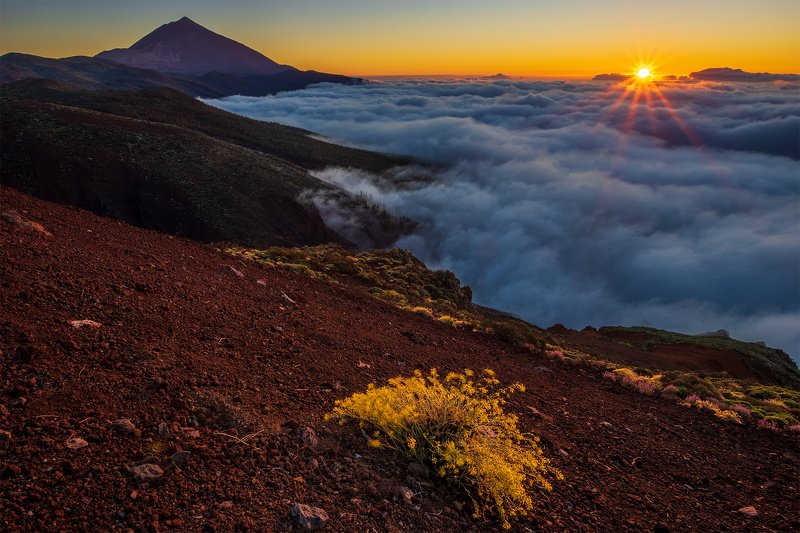 Teide фото превью