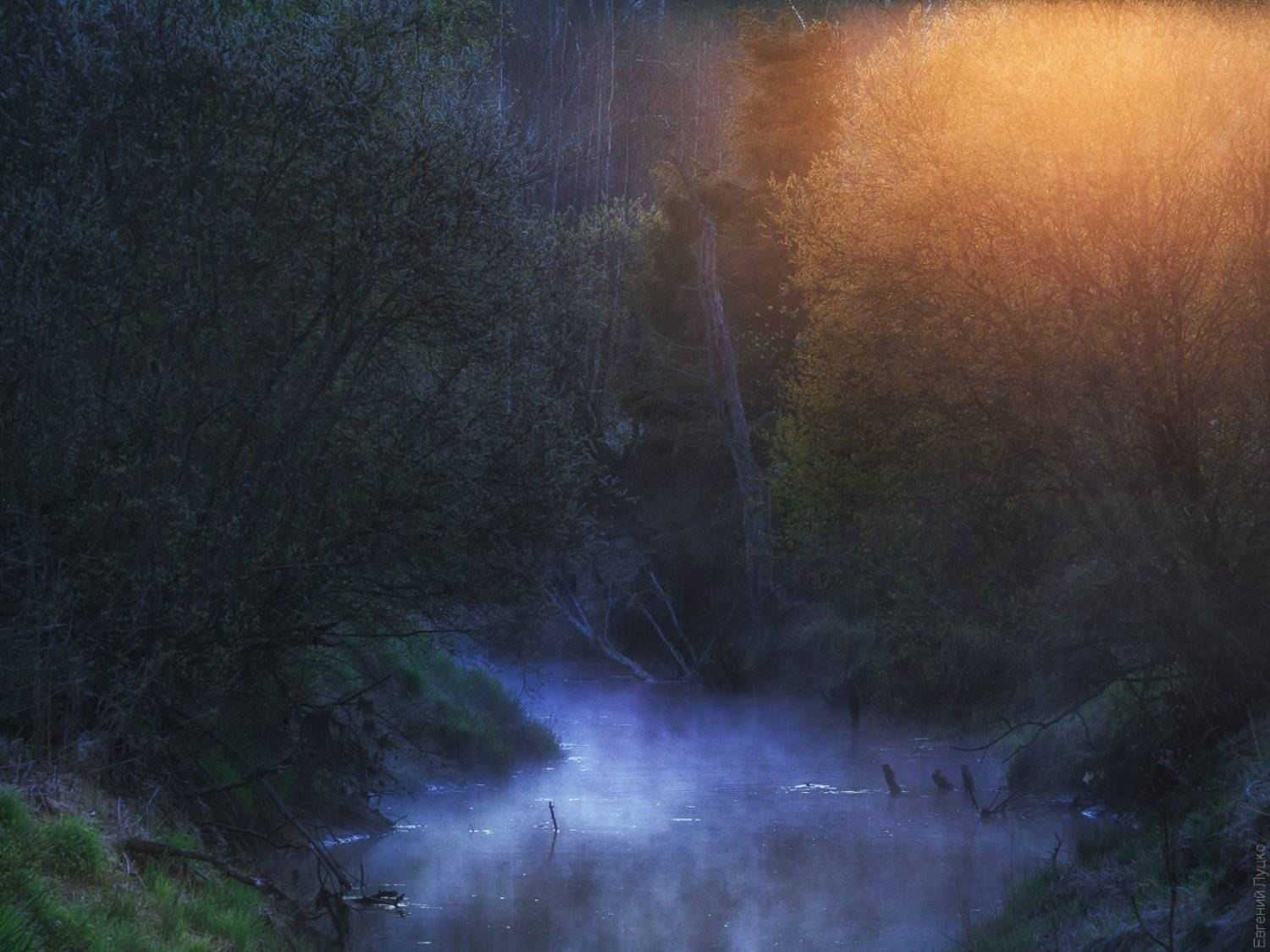 , Евгений Луцко