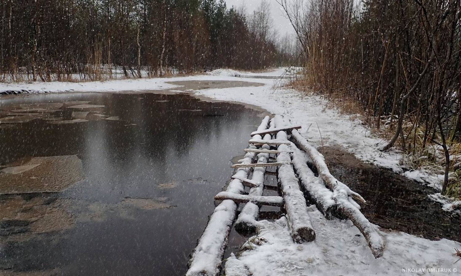 пейзаж, николай дмитрук