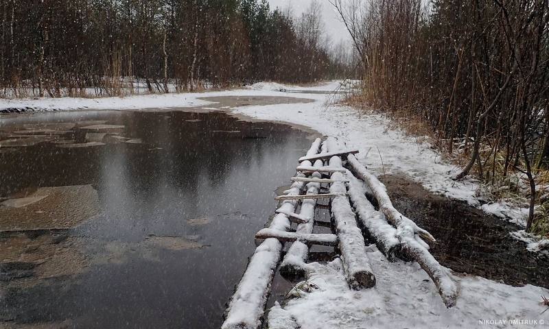 снежный день 2. ноябрь.2020. фото превью
