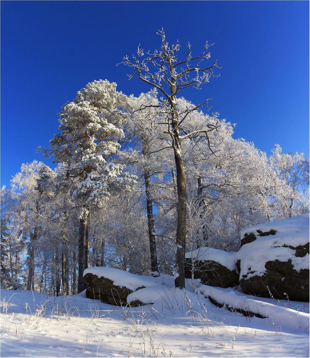, Кондратьев Алексей