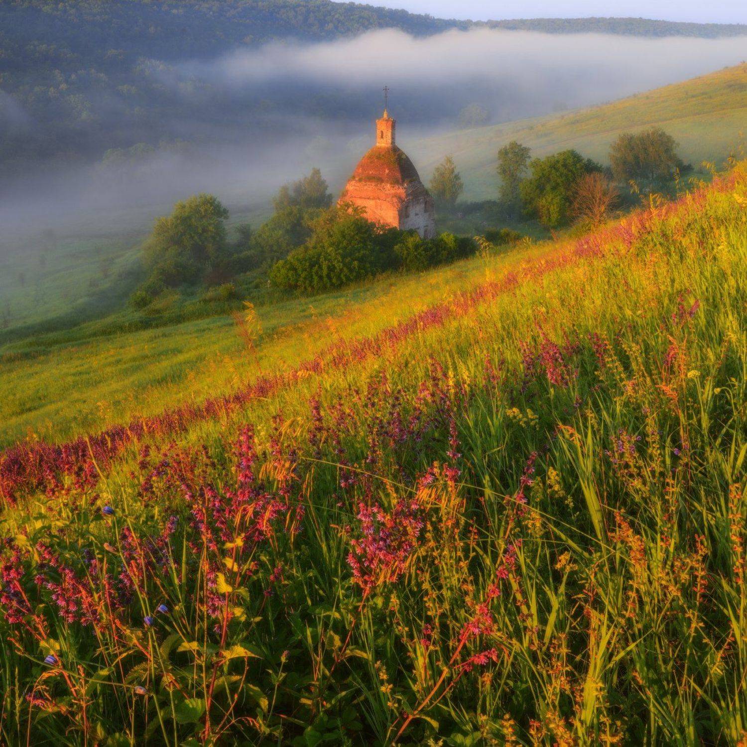 #лето #солнце #пейзаж #цветы #трава #туман #храм, Евгений Цап
