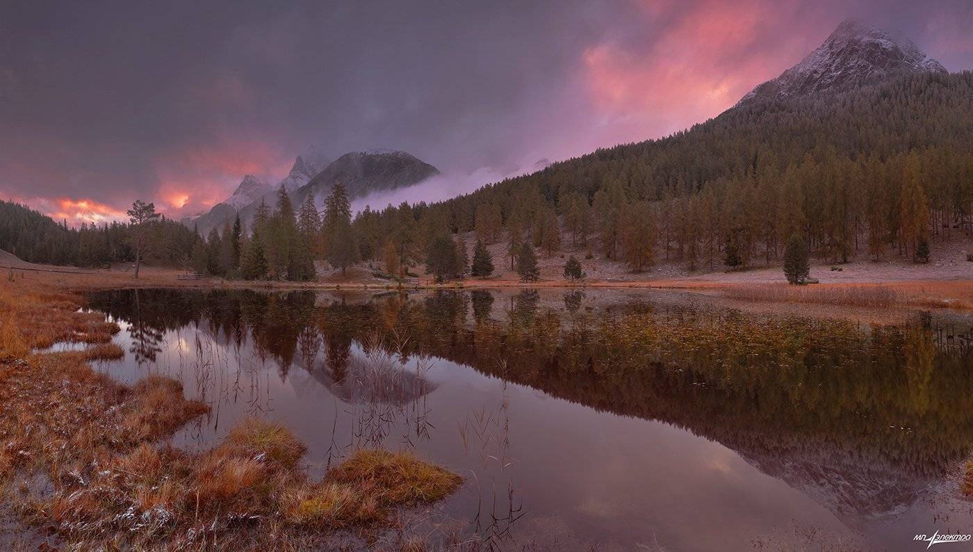 swiss, Матвеев Николай