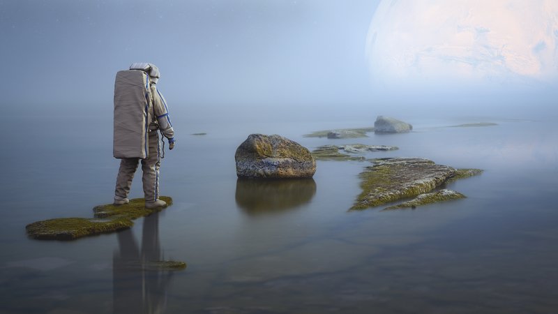 Midnight Sun фото превью