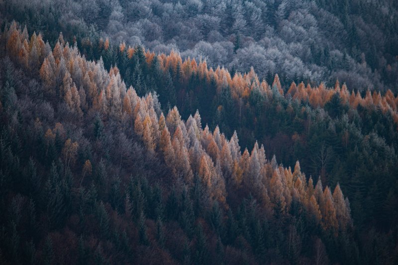 ... фото превью