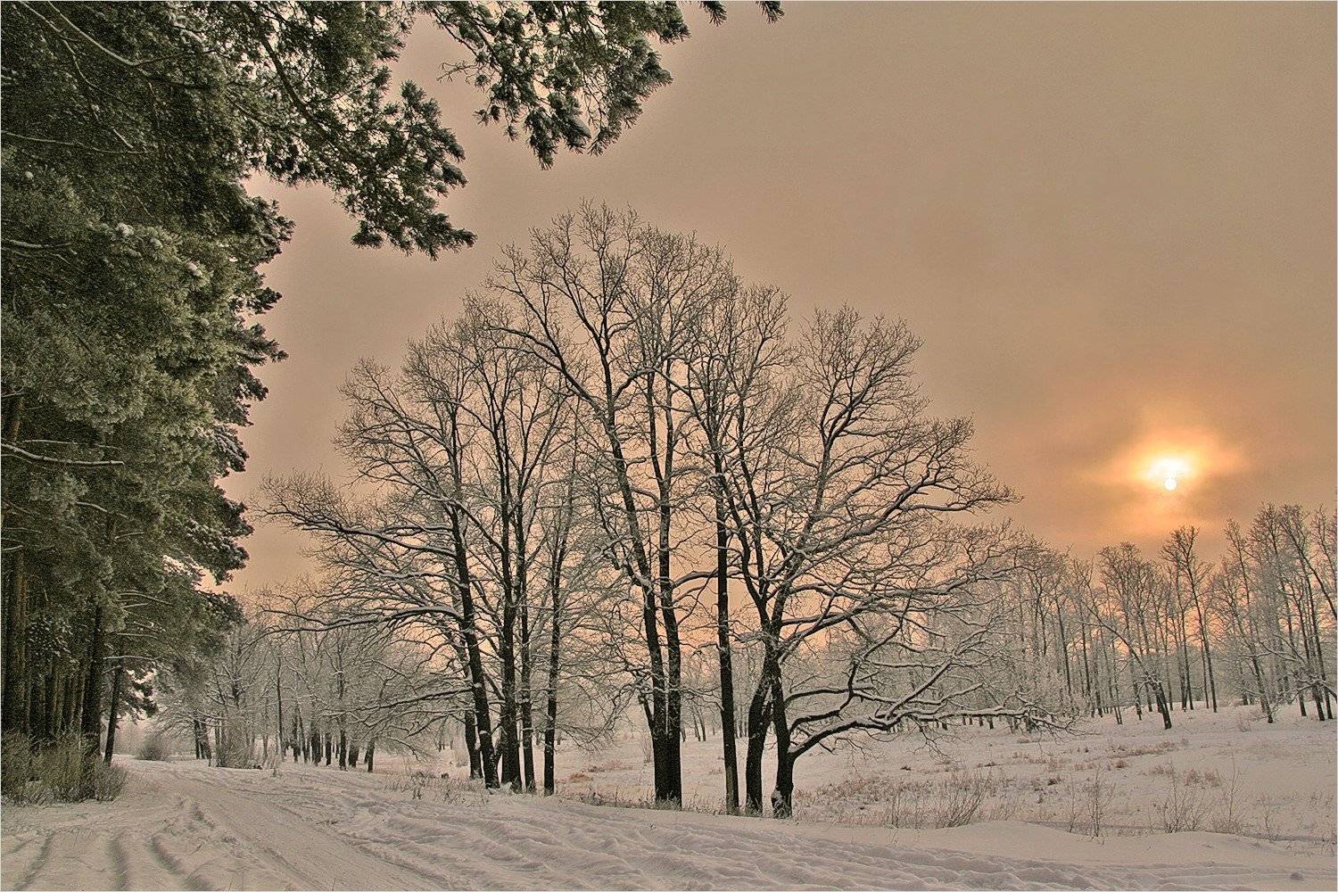 , Сергей Никсон