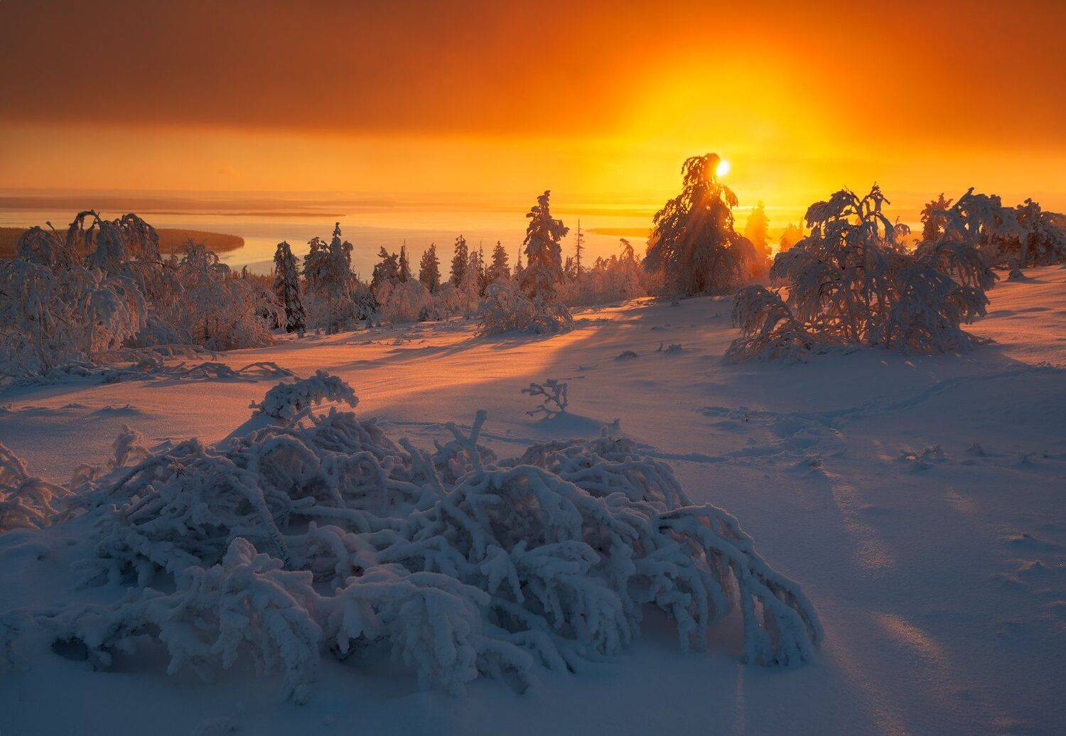 пейзаж,солнце,рассвет,хибины,кольский,север,зима, Виталий Истомин