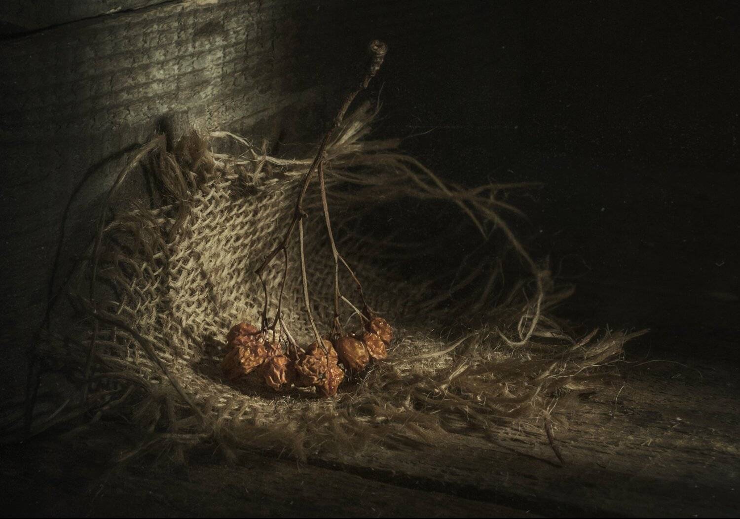 осень,рябина,деревянный,старое,прошлое,тёмный, Владимир Володин