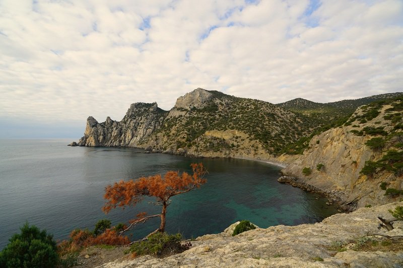 weather, mountains, peaks, sky, clouds, tree, stone, horizon, autumn, view, space Autumn morning фото превью