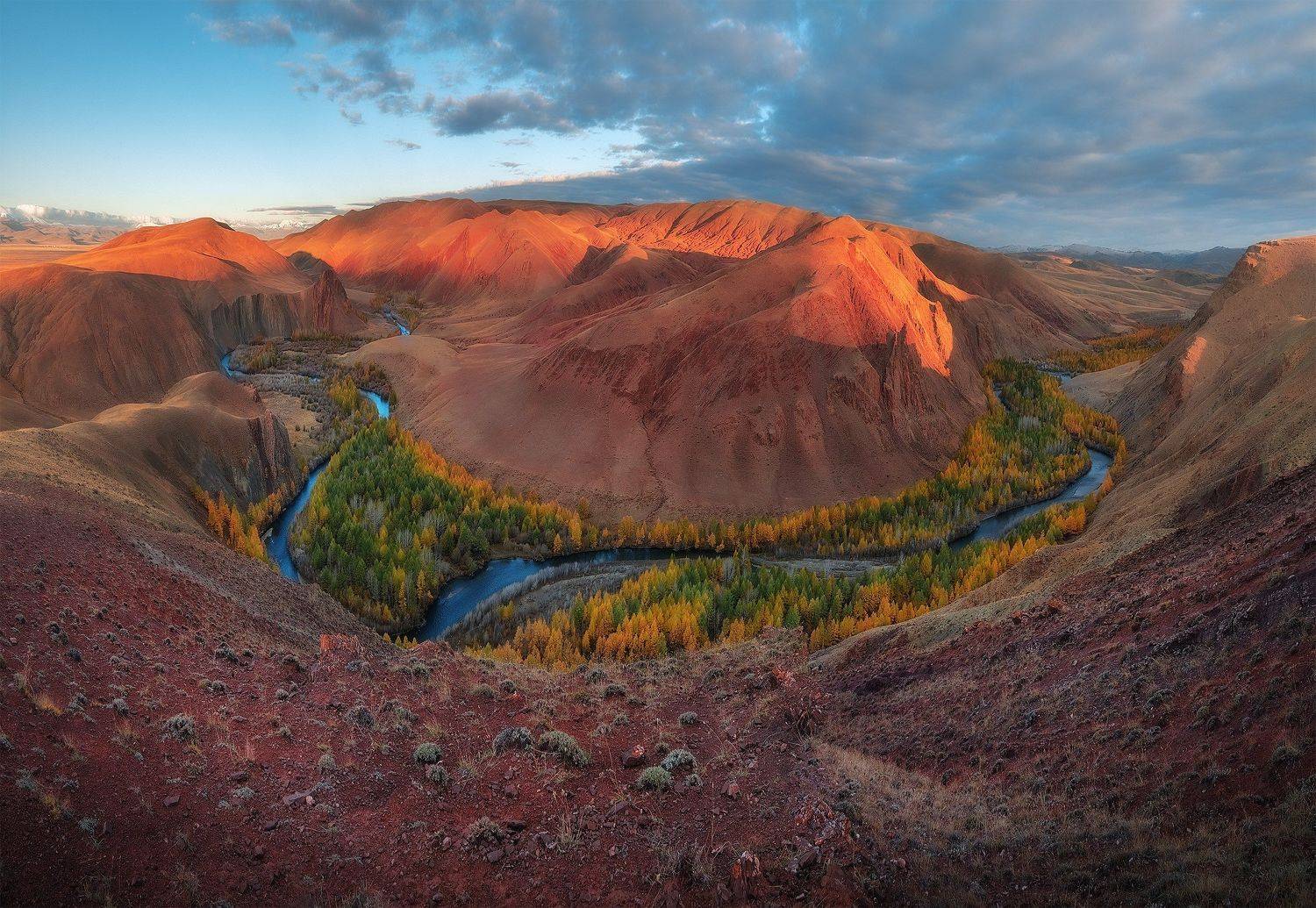 , Андрей Родионов