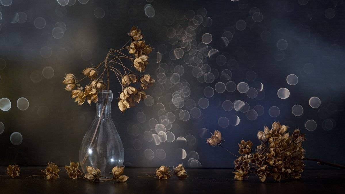 close up, still life, Игорь Копцев