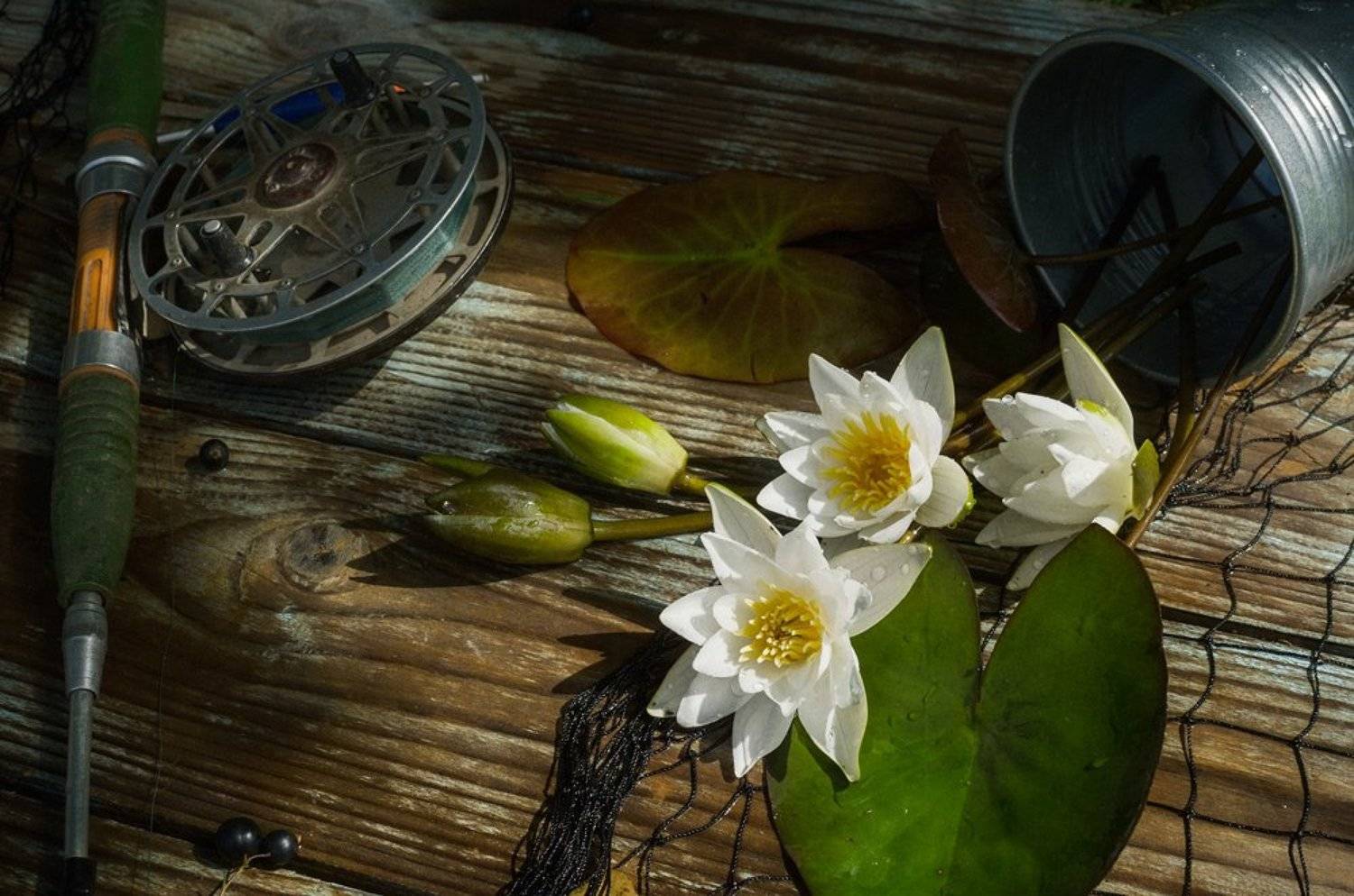 , Ляля Рюмина