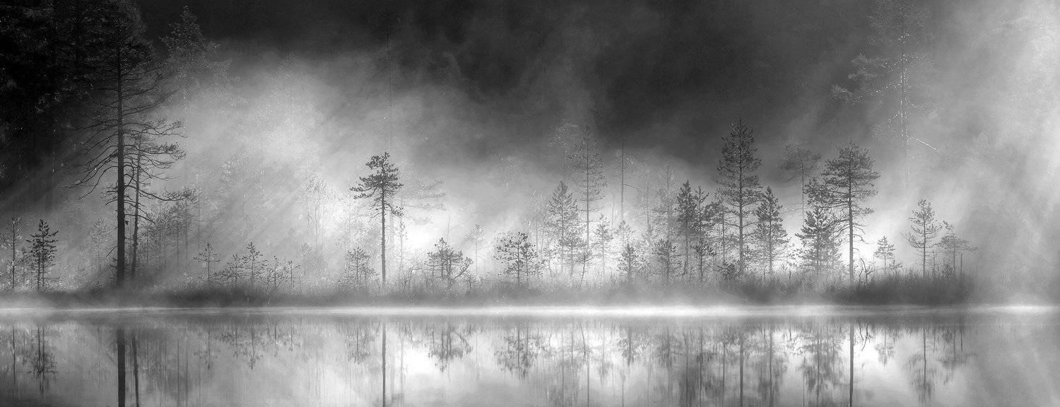 карелия, Виктор