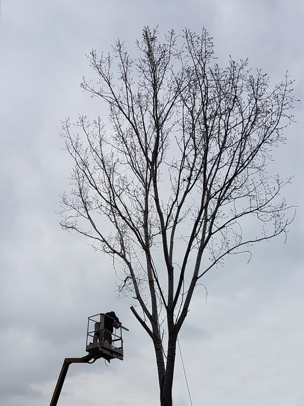 This ain\'t no high five фото превью