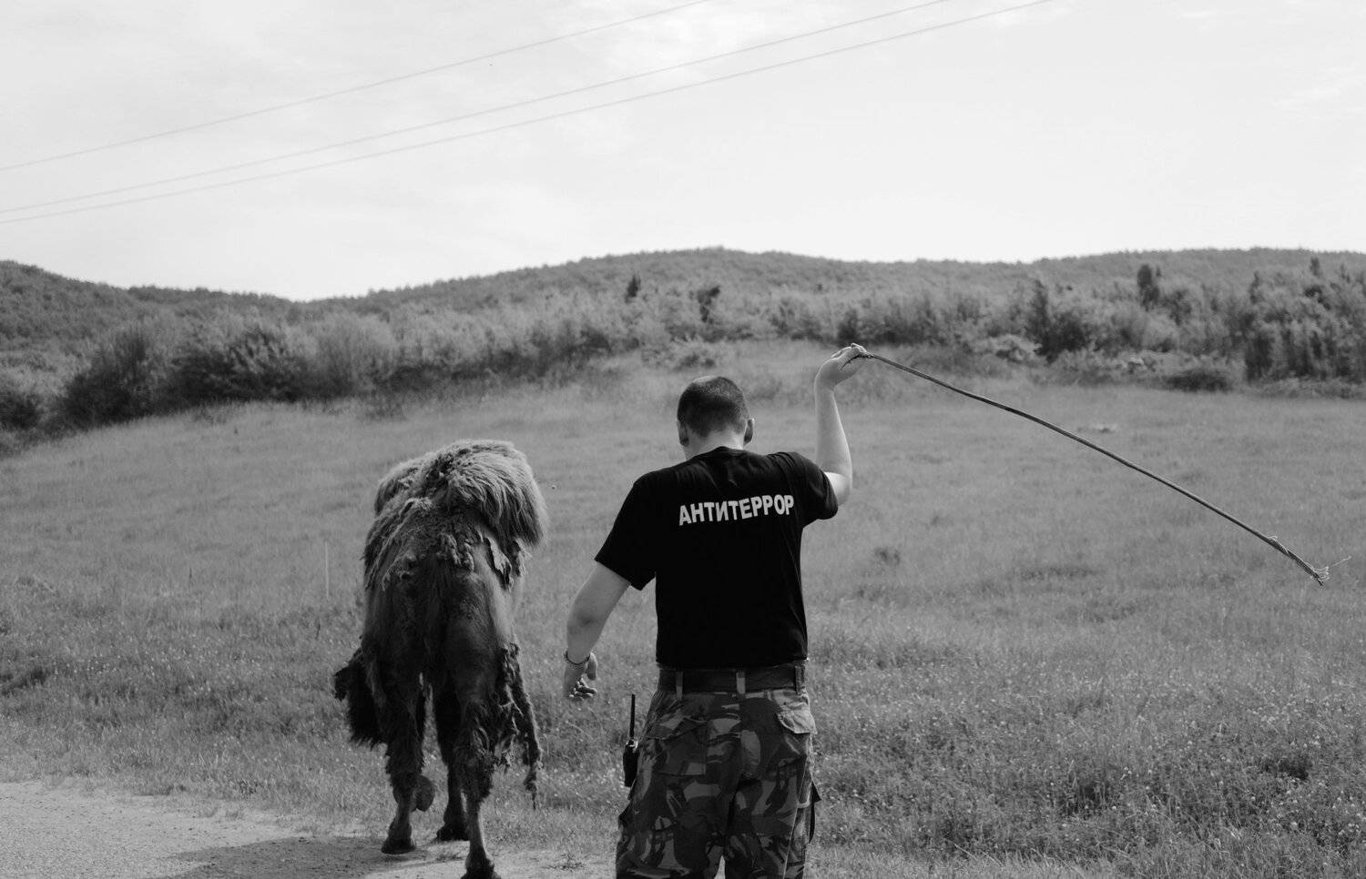 Антитеррор, дух, обросший, облезлый, верблюд, гонять, кнут, стегнуть, Дмитрий Ткаченко