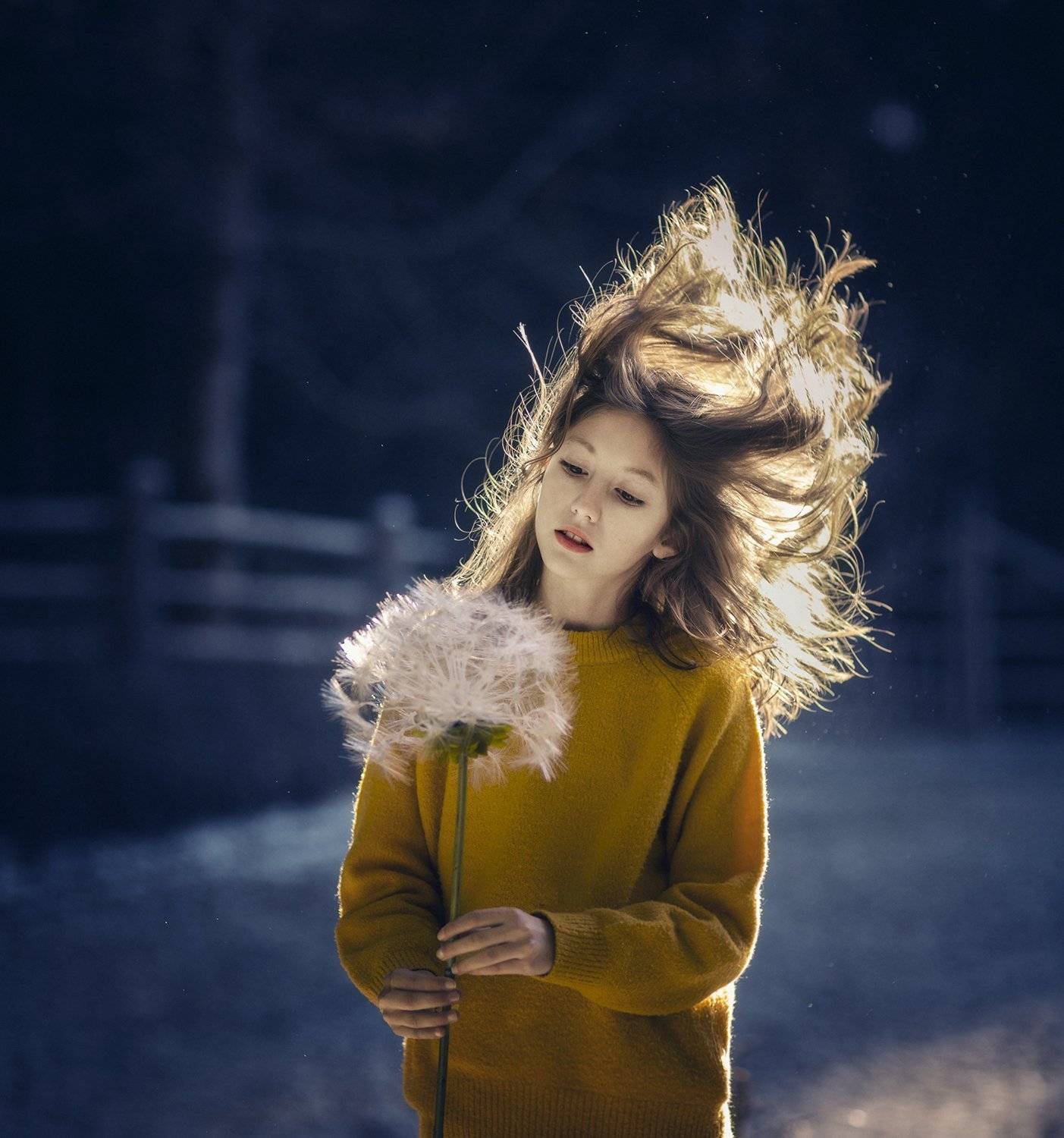 , Desislava Kuleshova