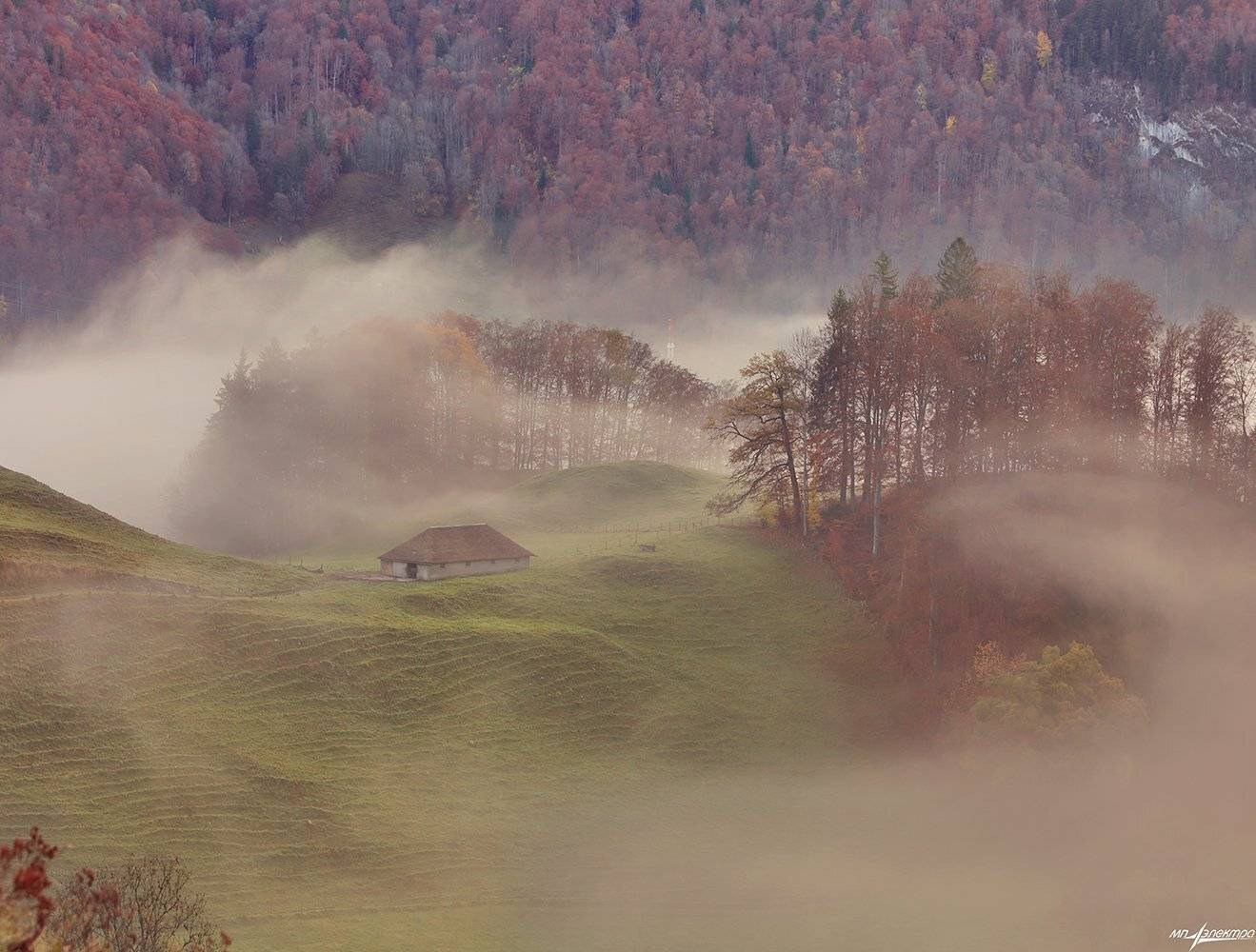 swiss, Матвеев Николай
