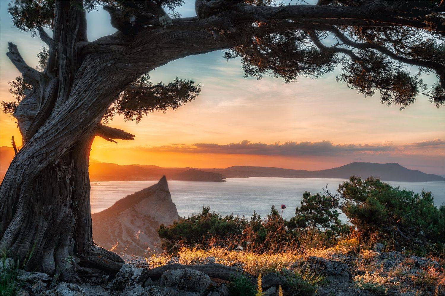 , Евгений Ерохин