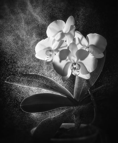 Окутан космосом...