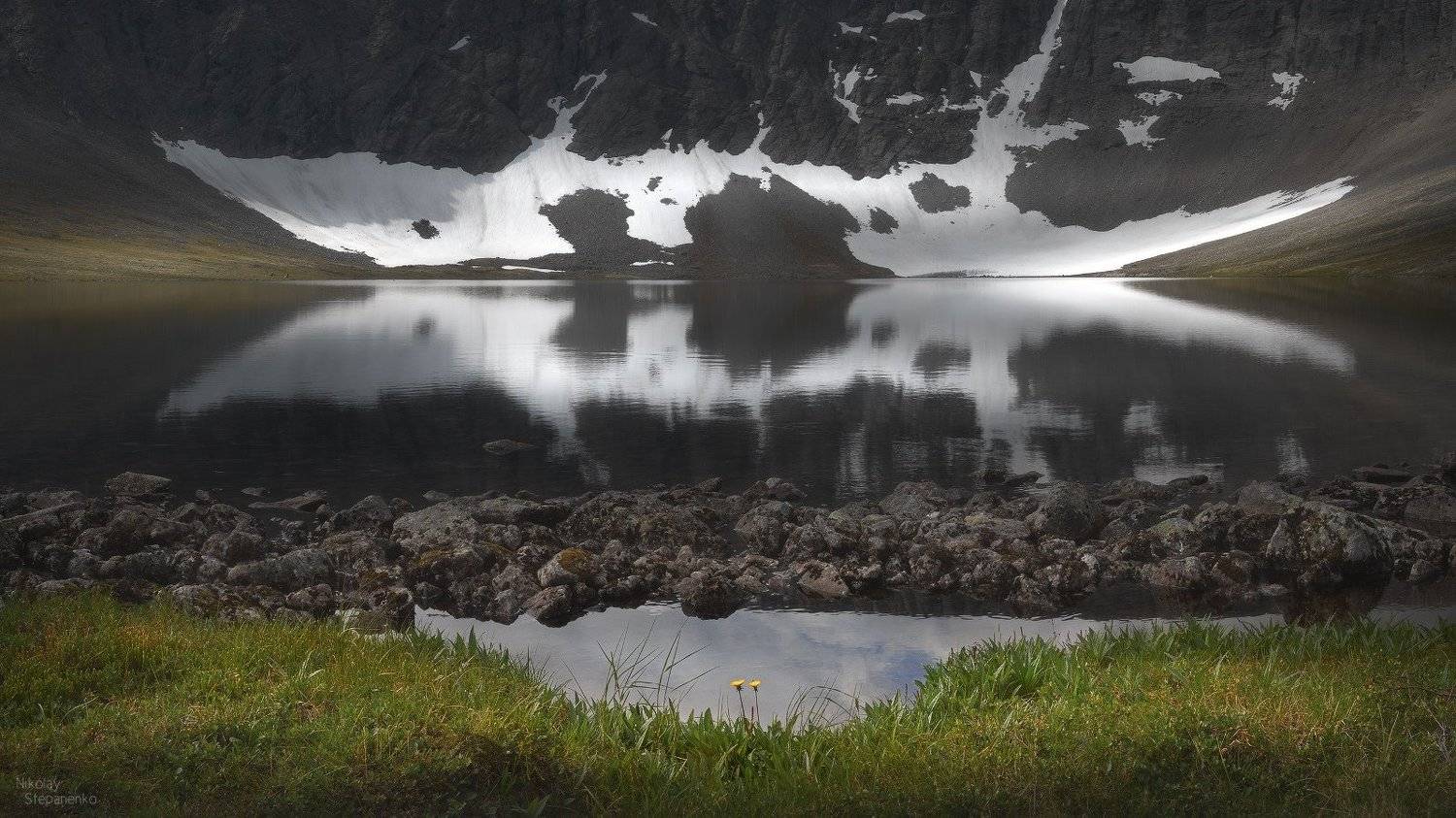 кольский полуостров, хибины, озеро академическое, горное озеро, кукисвумчорр, одуванчики, Николай Степаненко