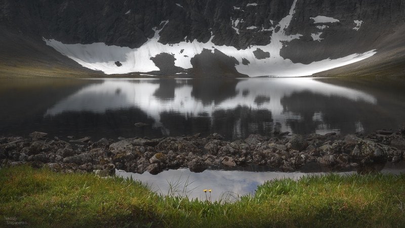 кольский полуостров, хибины, озеро академическое, горное озеро, кукисвумчорр, одуванчики Одуванчики фото превью