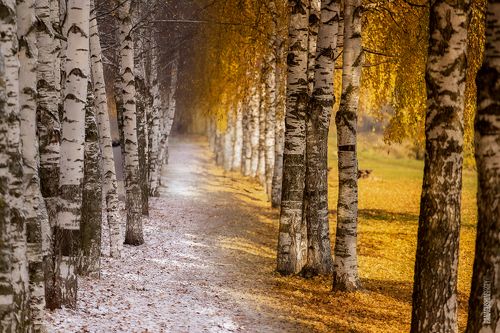 Немного волшебства