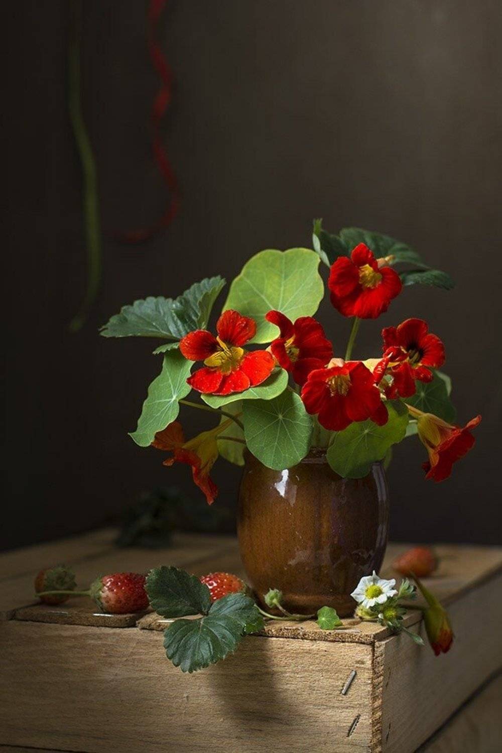 художественное фото,натюоморт с цветами,настурция,клубника., Людмила Костюченко