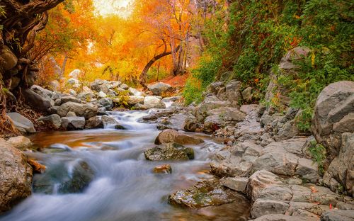 Fall in tehran