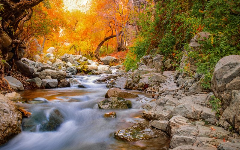 #landscape #longexposure #river #waterfall #travel Fall in tehran фото превью