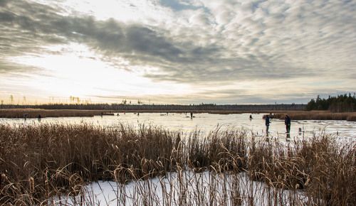 Сезон  подлёдной ловли рыбы открыт...