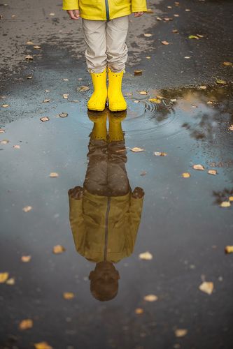 Отражение в луже.