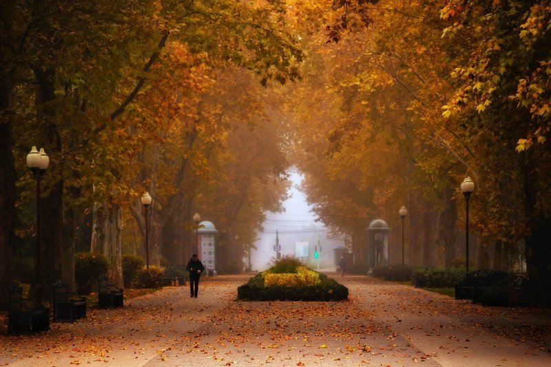 Осень  фото превью