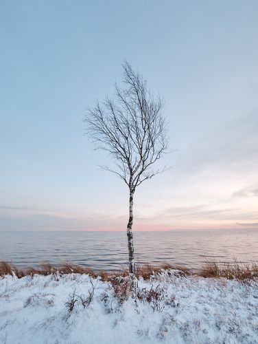 Одиночество