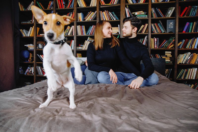 собака, портрет, животные, жанровая съемка, жанровый портрет, веселье, студия, портрет, love story, семья Funny Dog фото превью