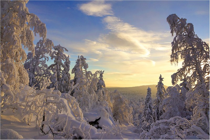 Прощальный вечер .... фото превью