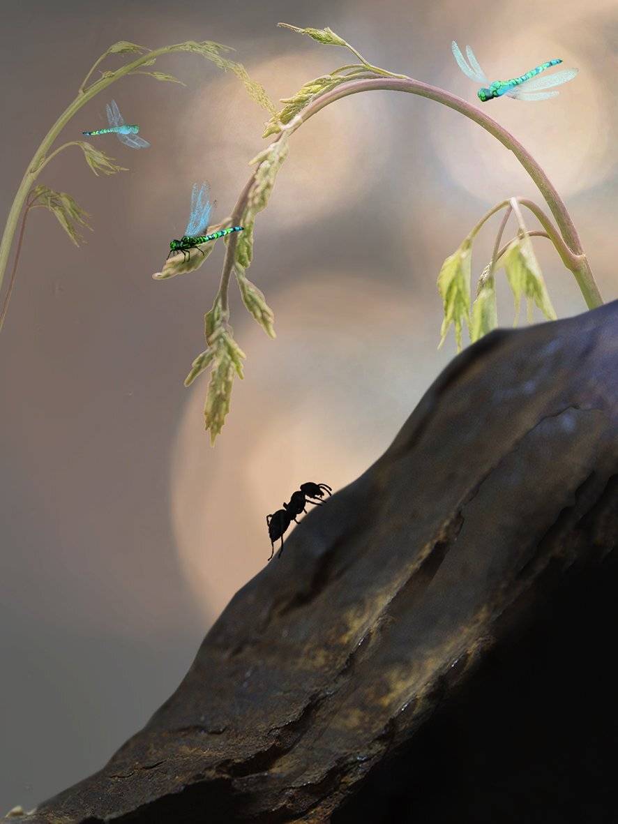 Инверсия басни о Стрекозе. Автор: T. Bondarenko , T. Bondarenko