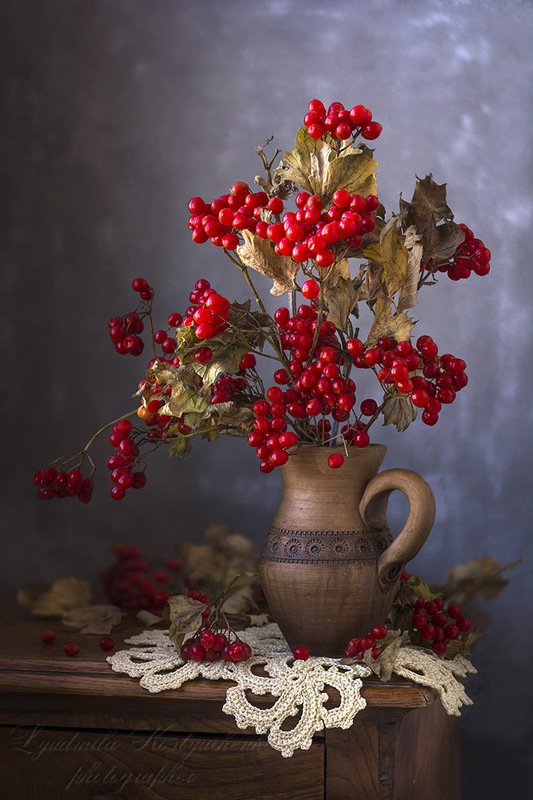 красивый натюрморт с калиной,ягоды. С калиной. фото превью