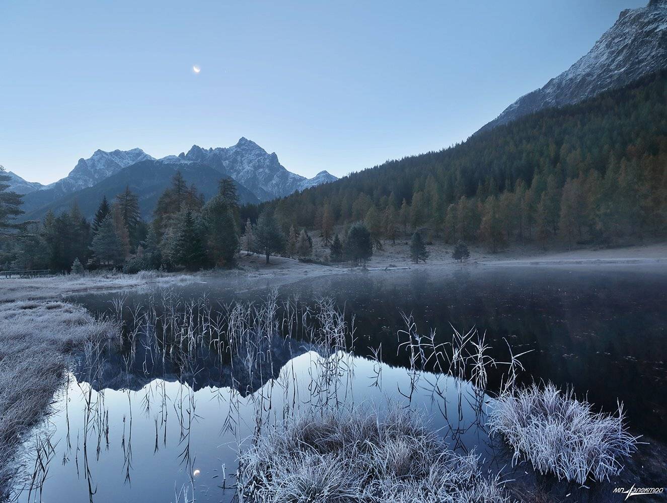 swiss, Матвеев Николай
