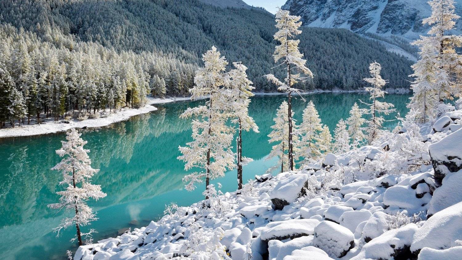 алтай,горы,шавла, Алексей Кретов