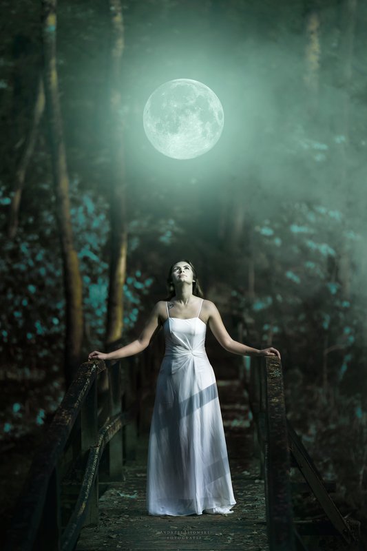 Full Moon фото превью