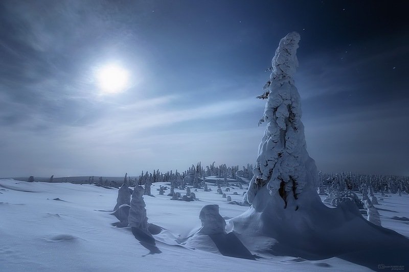 В лунном сиянии фото превью