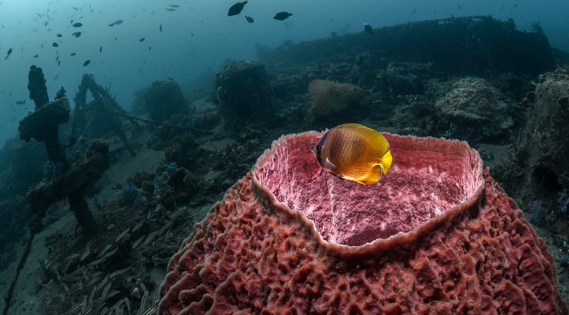 КРАТЕР фото превью