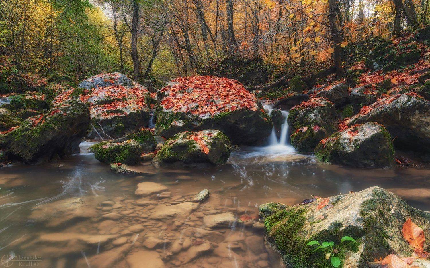 , Александр Круль