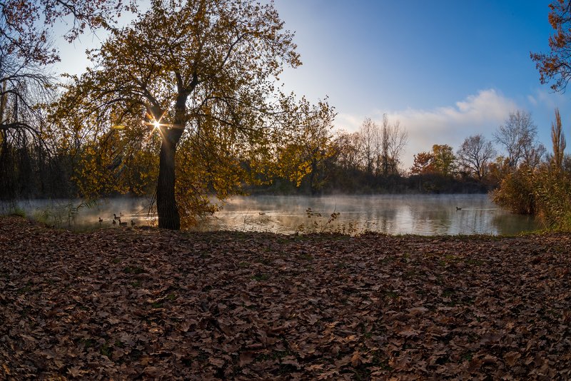 Последний осенний вечер фото превью