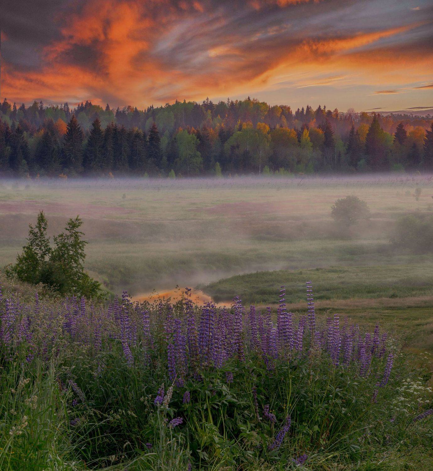 Фототуры с Владимиром Рябковым, рассвет на речке, #topnature #russpasibo #magic_shots #lovelyRussia #sunset_vision #exclusive_sky  #exclusive_shots #loves_russia2 #photoarena_nature #nature_sultans #nature_perfection #rsa_sky #rsa_sunset #photorussia #rsa, Владимир Рябков