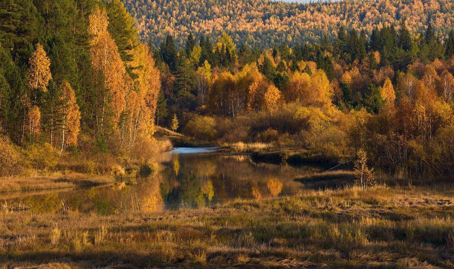 , Кутыгин Эдуард