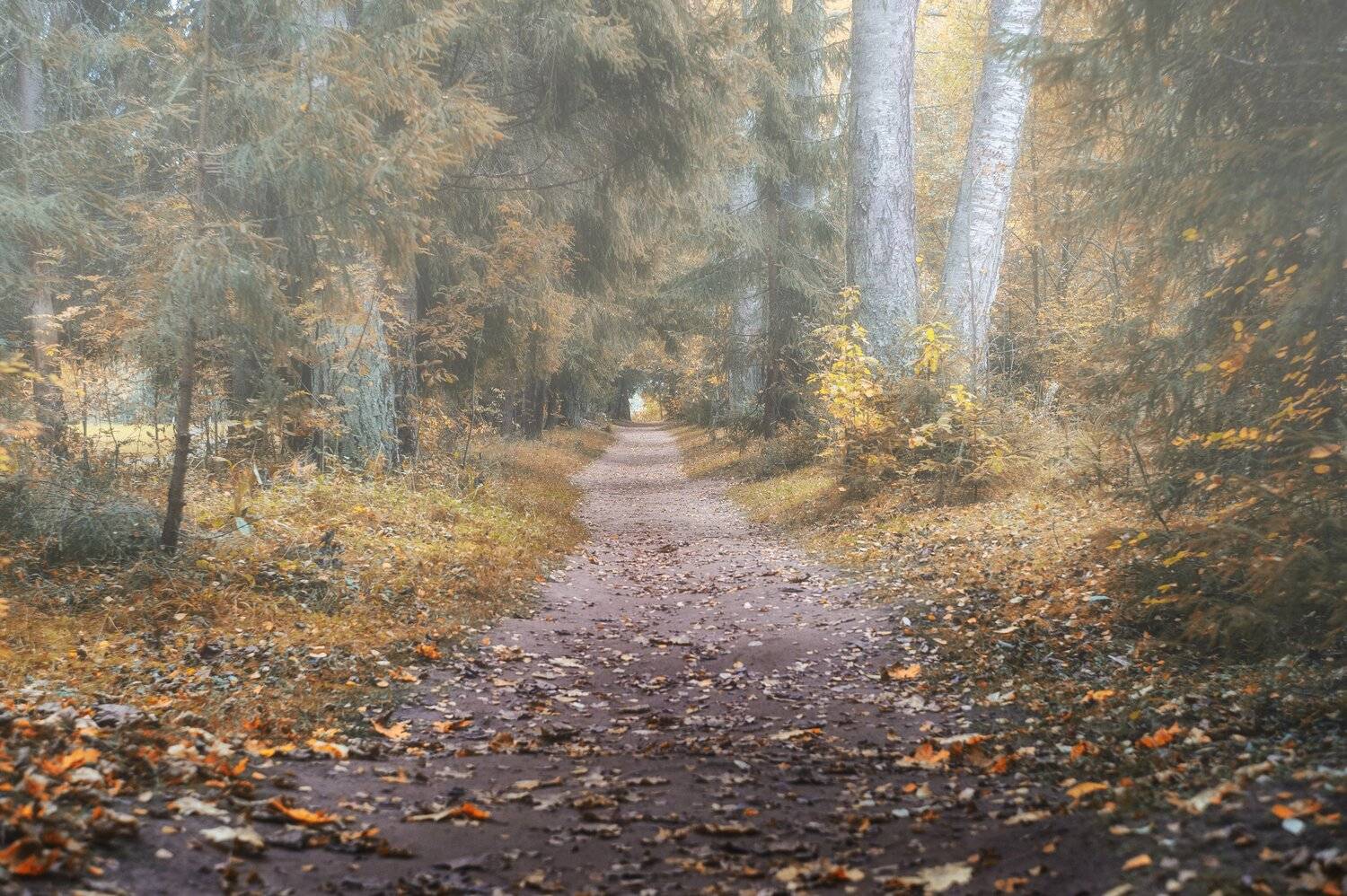 , Юрий Кулаков